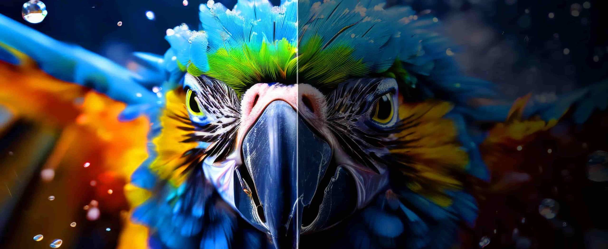 AI Algorithms for Geometry & Image Correction