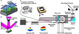 DLP Projector Explained Technology, Performance, and Why Businesses Are Switching to It