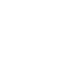 Custom Housing design