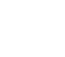 Custom Housing design